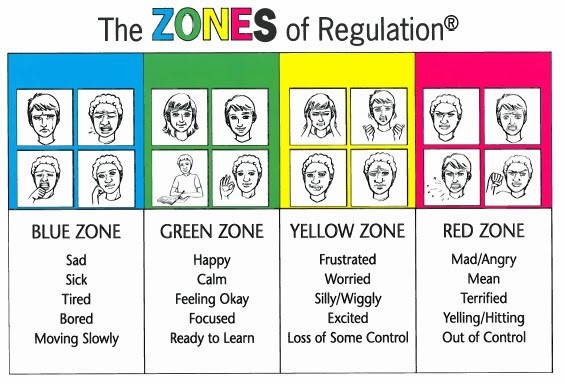 zones-of-regulation-book-regulation-zones-coping-catcher-skills-cootie